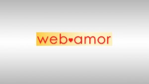 web-amor-Logo-0316