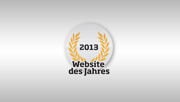 Logo Website des Jahres - 2013